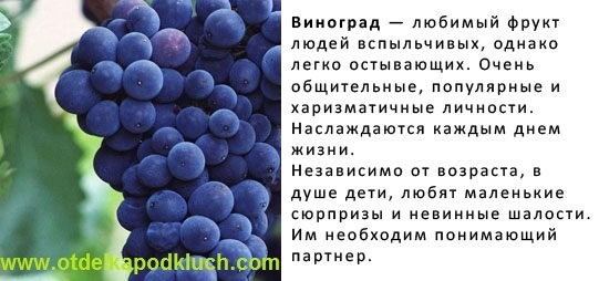 Обрезка винограда, уход за виноградом,рецепт приготовления вина. X_487e5c02
